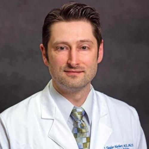 James Taylor Herbert